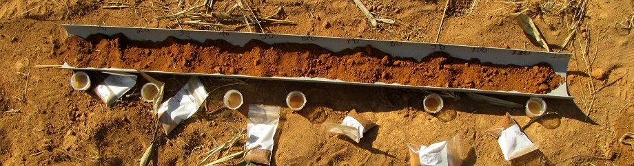 Soil auger profile sampling and analysis, Maguvani (Credit: Prof. Ray Weil, University of Maryland)