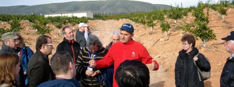 Prof. Artemi Cerda discussing soil management under orange plantations in Xàtiva/Spain (T. Caspari) Prof. Artemi Cerda discussing soil management under orange plantations in Xàtiva/Spain (T. Caspari)