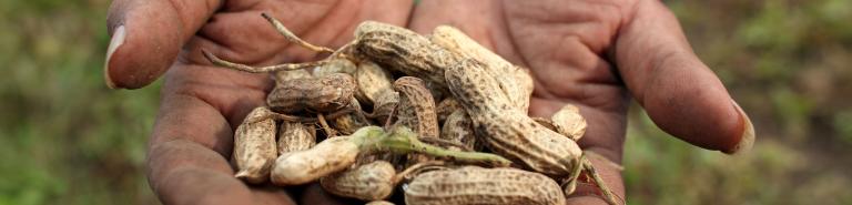 Soils and Food Security Soils and Food Security