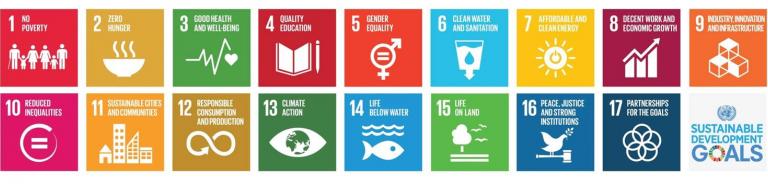 The 17 UN Sustainable Development Goals The 17 UN Sustainable Development Goals