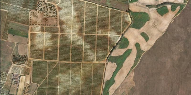 Soil variation within fields in Andalucia, Spain (Rociana del Condado). Source: Google Earth. Soil variation within fields in Andalucia, Spain (Rociana del Condado). Source: Google Earth.