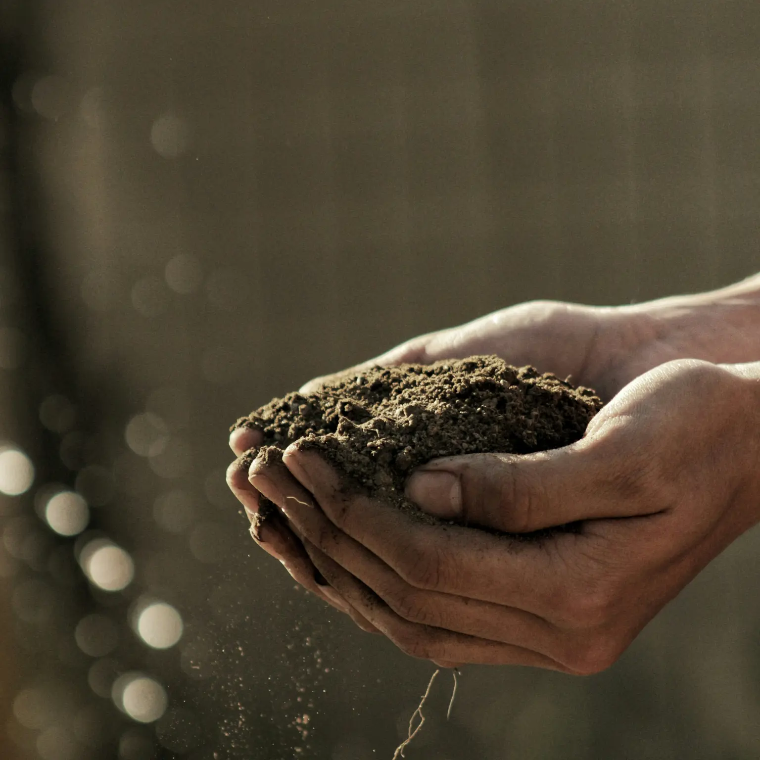 Speaking the same soil language: why standards matter