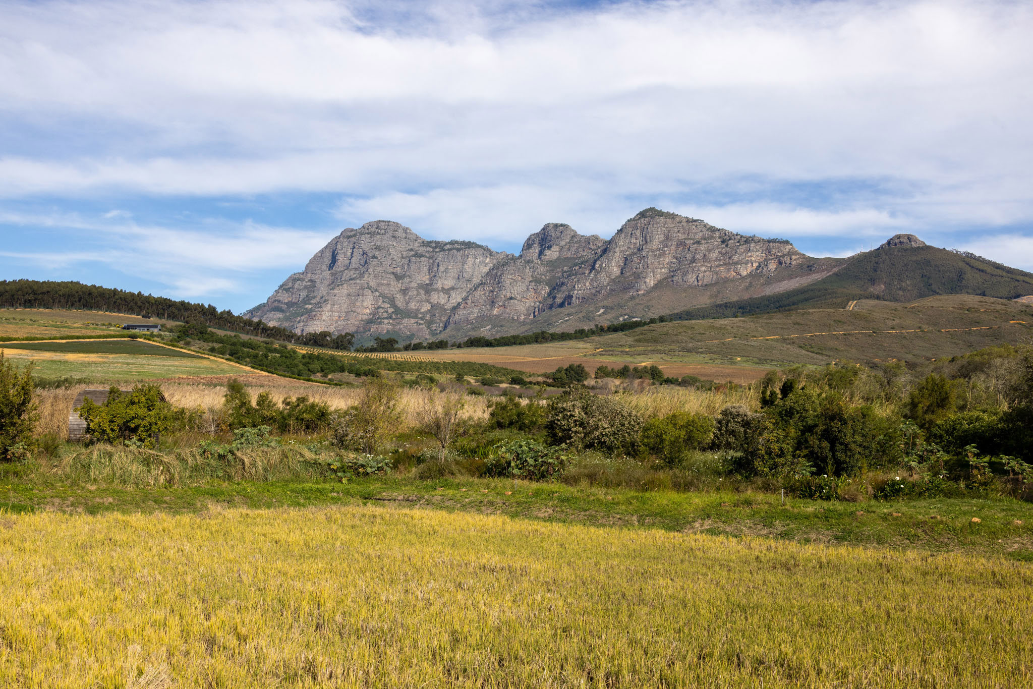 Webinar: Soils without borders: Building a soil science community for Southern Africa