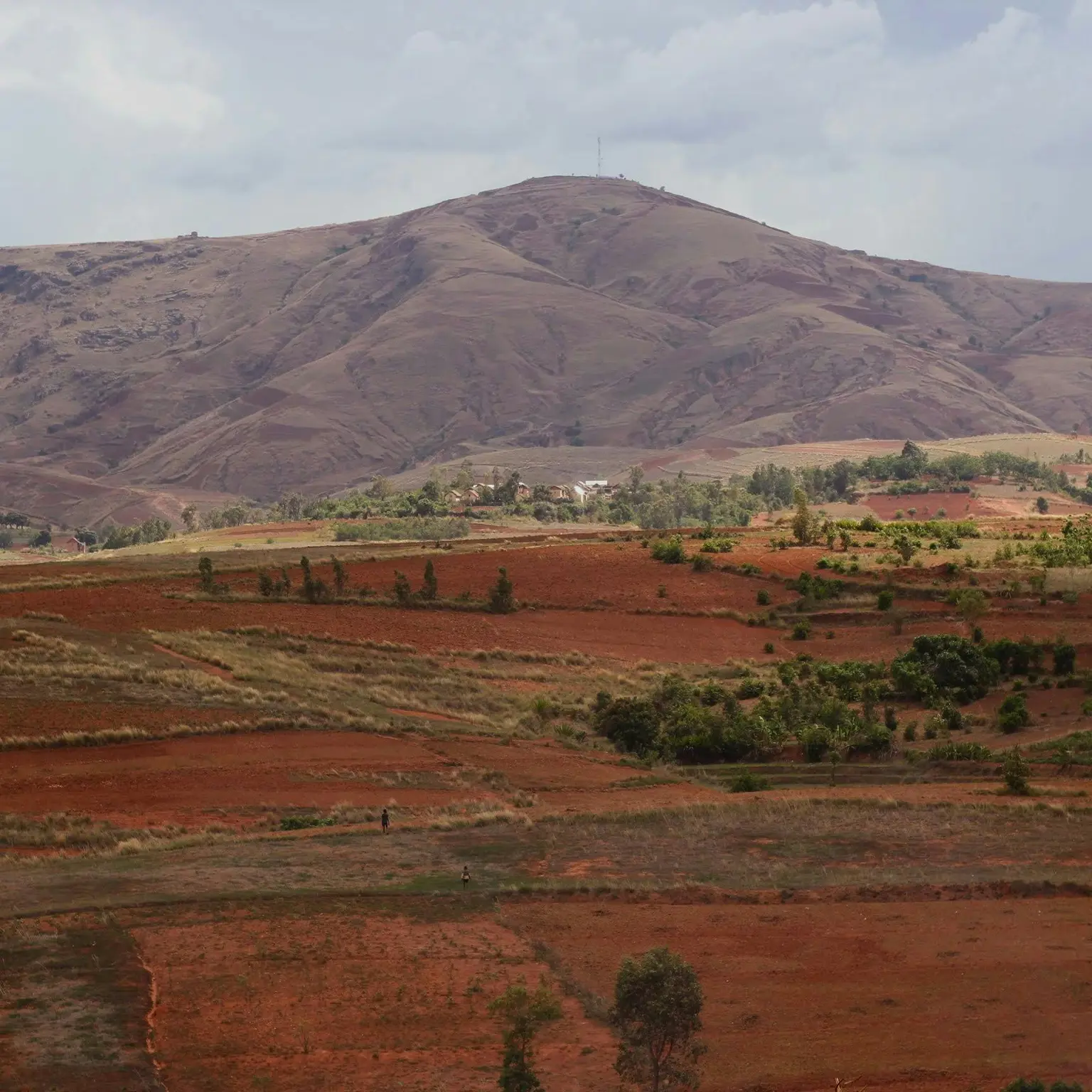 Soils4Africa makes 11,000 soil data points from 21 African countries available