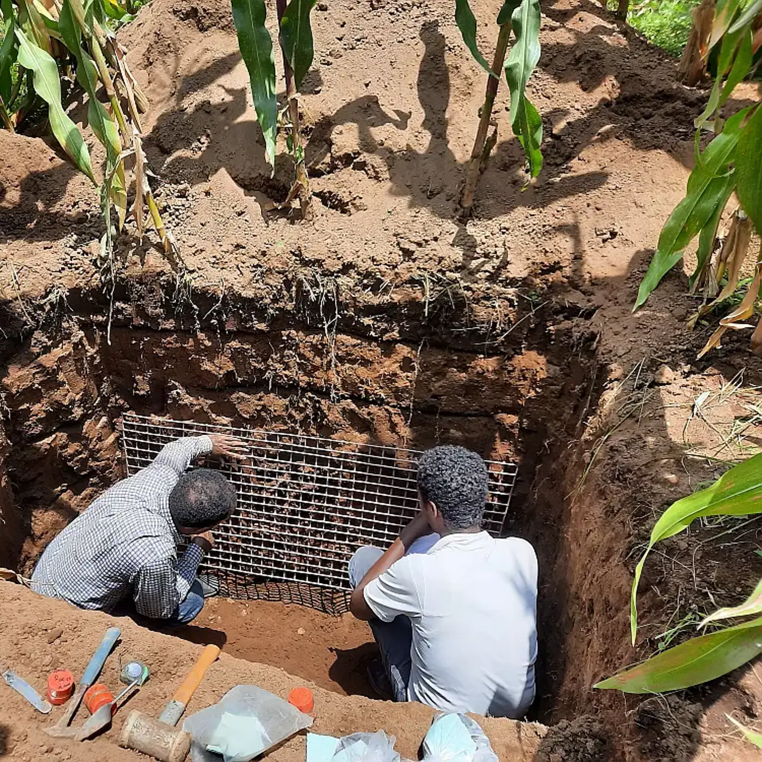 A new open-access soil profile dataset from central Ethiopia